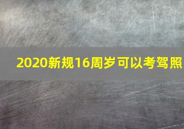 2020新规16周岁可以考驾照