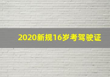 2020新规16岁考驾驶证