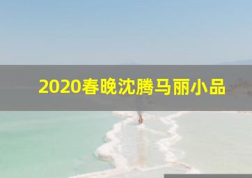 2020春晚沈腾马丽小品