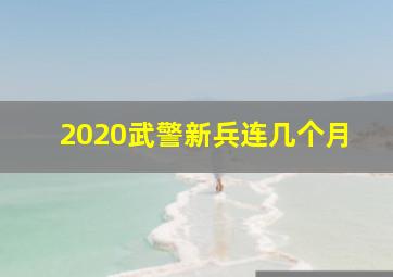 2020武警新兵连几个月