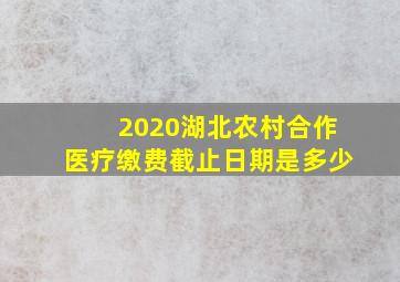 2020湖北农村合作医疗缴费截止日期是多少