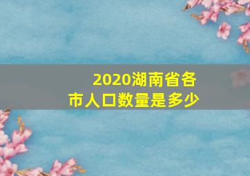 2020湖南省各市人口数量是多少