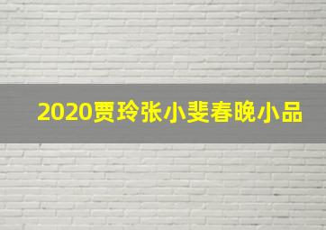 2020贾玲张小斐春晚小品