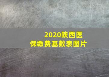 2020陕西医保缴费基数表图片