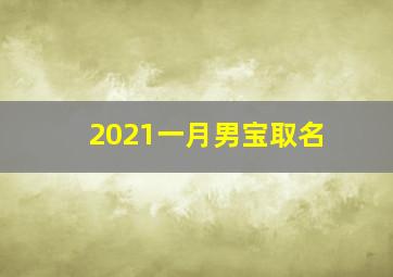 2021一月男宝取名