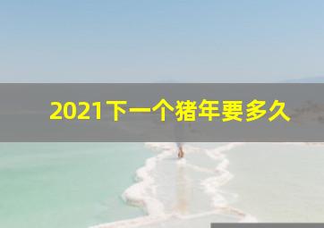 2021下一个猪年要多久