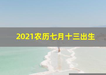 2021农历七月十三出生