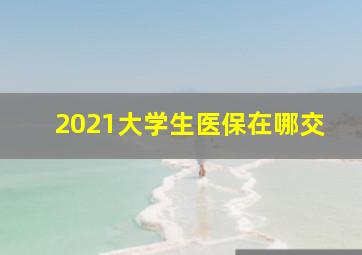 2021大学生医保在哪交