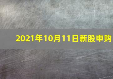 2021年10月11日新股申购