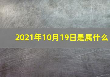 2021年10月19日是属什么