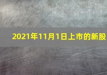 2021年11月1日上市的新股