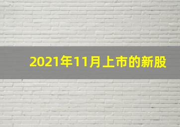 2021年11月上市的新股