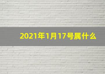 2021年1月17号属什么