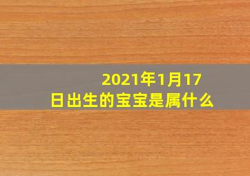 2021年1月17日出生的宝宝是属什么