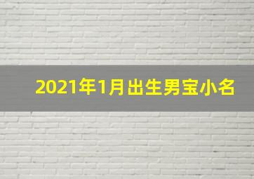 2021年1月出生男宝小名