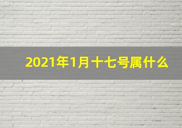 2021年1月十七号属什么