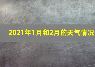 2021年1月和2月的天气情况