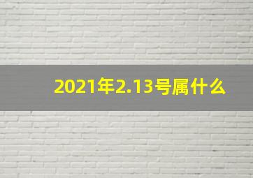 2021年2.13号属什么