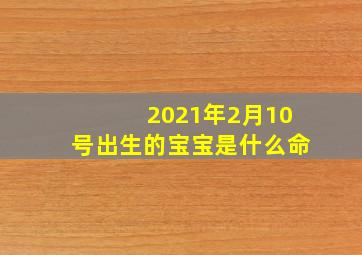 2021年2月10号出生的宝宝是什么命