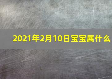 2021年2月10日宝宝属什么