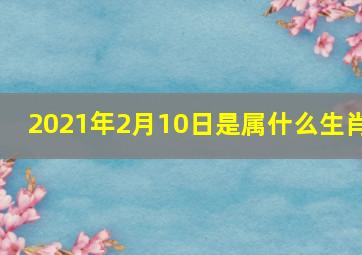 2021年2月10日是属什么生肖