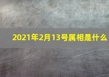 2021年2月13号属相是什么