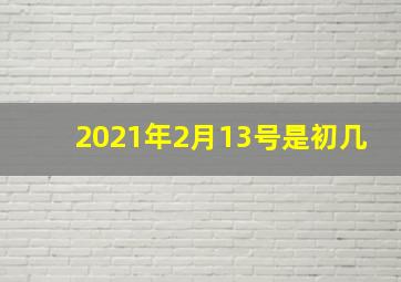 2021年2月13号是初几