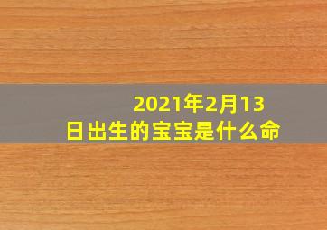 2021年2月13日出生的宝宝是什么命