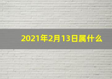 2021年2月13日属什么