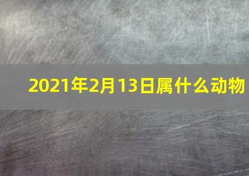 2021年2月13日属什么动物