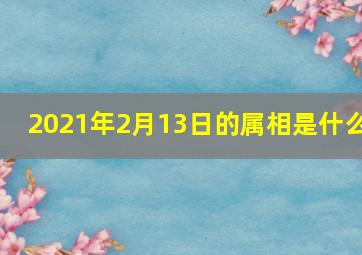 2021年2月13日的属相是什么