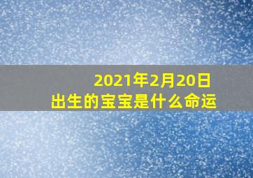 2021年2月20日出生的宝宝是什么命运