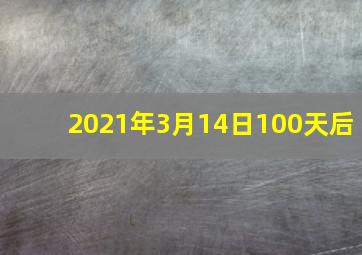 2021年3月14日100天后