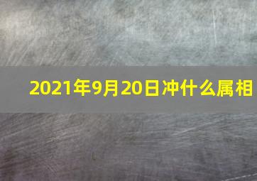 2021年9月20日冲什么属相