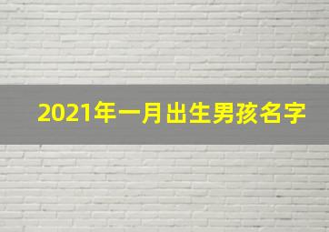 2021年一月出生男孩名字