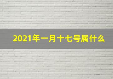 2021年一月十七号属什么