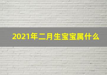 2021年二月生宝宝属什么