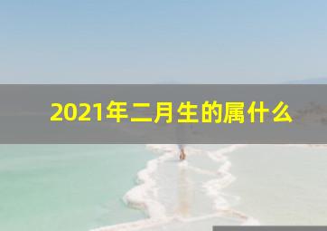 2021年二月生的属什么