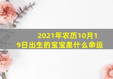 2021年农历10月19日出生的宝宝是什么命运