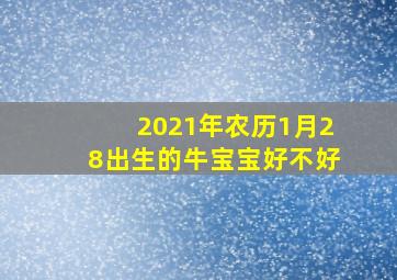 2021年农历1月28出生的牛宝宝好不好