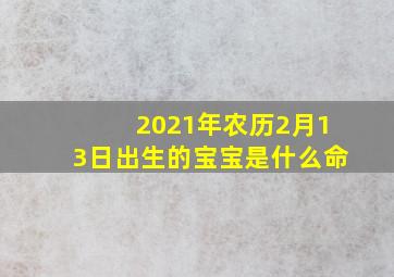 2021年农历2月13日出生的宝宝是什么命