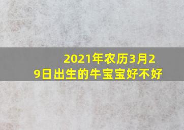 2021年农历3月29日出生的牛宝宝好不好