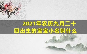 2021年农历九月二十四出生的宝宝小名叫什么