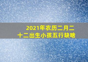 2021年农历二月二十二出生小孩五行缺啥