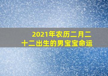 2021年农历二月二十二出生的男宝宝命运