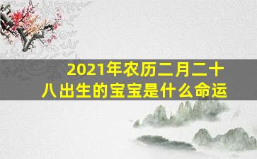 2021年农历二月二十八出生的宝宝是什么命运