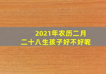 2021年农历二月二十八生孩子好不好呢