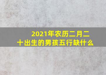 2021年农历二月二十出生的男孩五行缺什么