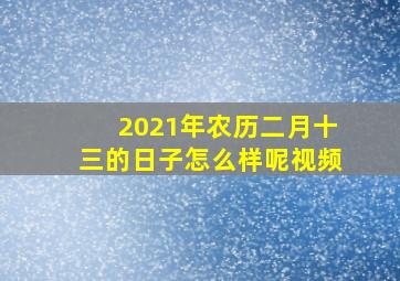 2021年农历二月十三的日子怎么样呢视频