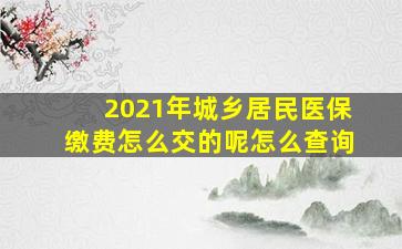 2021年城乡居民医保缴费怎么交的呢怎么查询